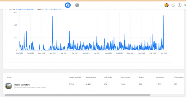 Facebook Analytics data