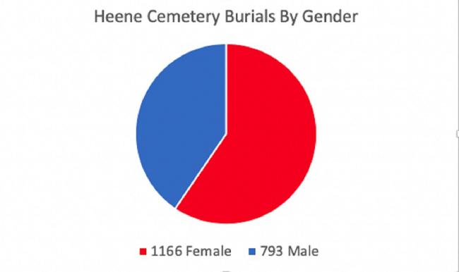 Pye Chart of burials by Gender