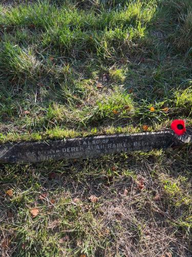 Image of headstone for Derek alan Raikes Bee