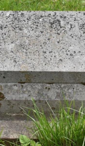 Image of the tomb for Frances Rich