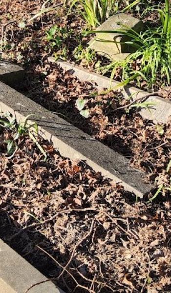 Image of headstone for Rose Dalton Smith