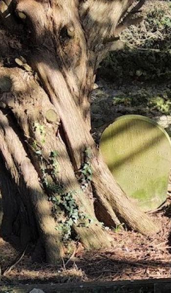 Image of headstone for John Collett