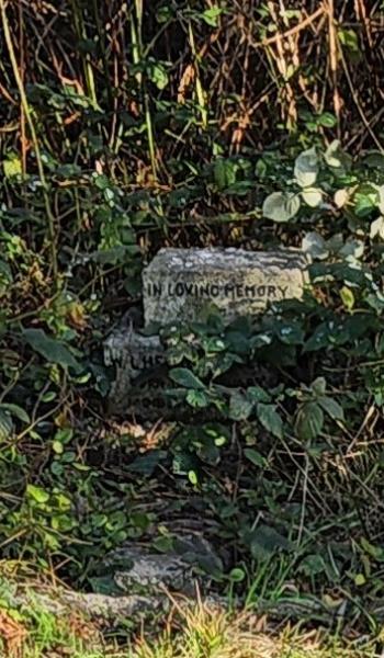 Image of headstone for William Blenkarne