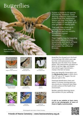 Friends of Heene Cemetery A3 poster - Butterflies