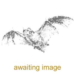 This small bat has fast, erratic flight at head height.  Its ultrasound Peak Frequency Range (PFR) is 46.5 kHz.